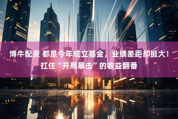 博牛配资 都是今年成立基金，业绩差距却挺大！扛住“开局暴击”的收益翻番