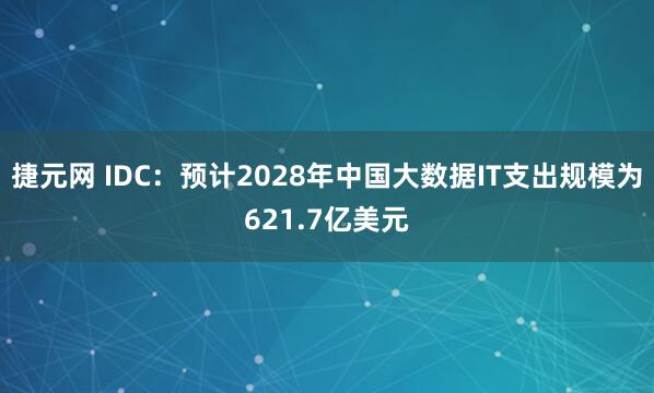 捷元网 IDC：预计2028年中国大数据IT支出规模为621.7亿美元