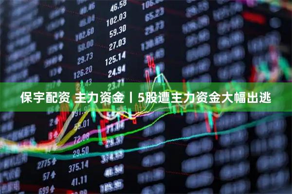 保宇配资 主力资金丨5股遭主力资金大幅出逃
