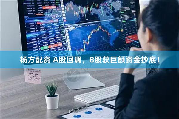 杨方配资 A股回调，8股获巨额资金抄底！